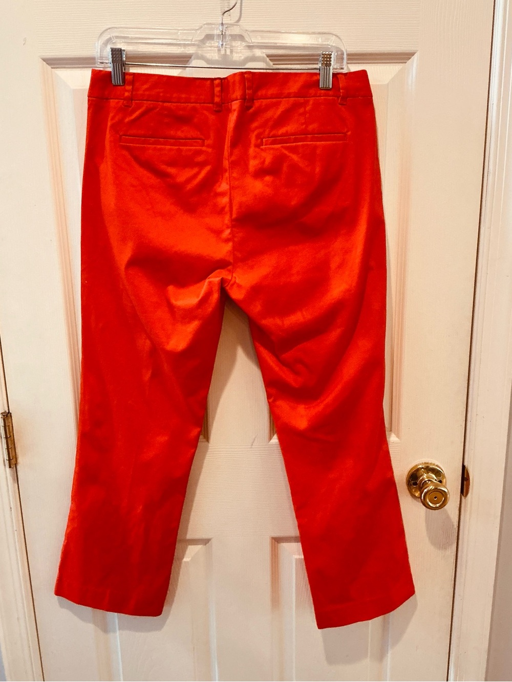 J.Crew Autumn Pop Low Rise Stretch Cropped Casual Everyday Pant Womans Size 6 - Picture 4 of 12